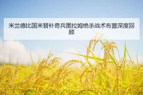 mi-lan-de-bi-guo-mi-ti-bu-qi-bing-tu-la-mu-jue-sha-zhan-shu-bu-zhi-shen-du-hui-gu-3-907.jpg