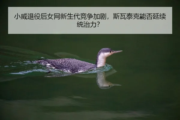 小威退役后女网新生代竞争加剧，斯瓦泰克能否延续统治力？