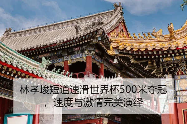lin-xiao-jun-duan-dao-su-hua-shi-jie-bei-mi-duo-guan-su-du-yu-ji-qing-wan-mei-yan-yi-2-490.jpg