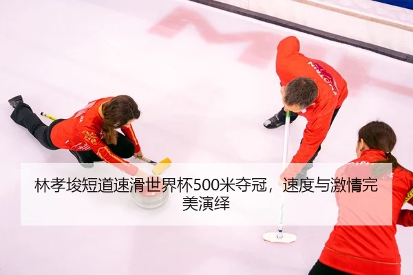lin-xiao-jun-duan-dao-su-hua-shi-jie-bei-mi-duo-guan-su-du-yu-ji-qing-wan-mei-yan-yi-3-376.jpg