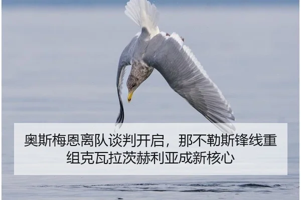 ao-si-mei-en-li-dui-tan-pan-kai-qi-na-bu-le-si-feng-xian-chong-zu-ke-wa-la-ci-he-li-ya-cheng-xin-he-xin-3-128.jpg