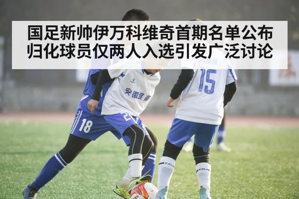 国足新帅伊万科维奇首期名单公布归化球员仅两人入选引发广泛讨论